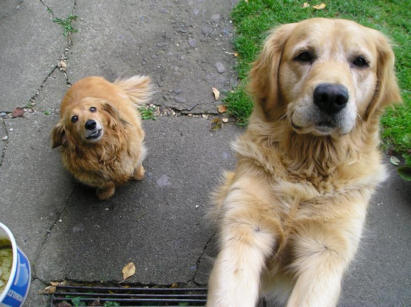 Foto: �sm�v! Vylet� �unka.-odol�te na�im pohled�m?