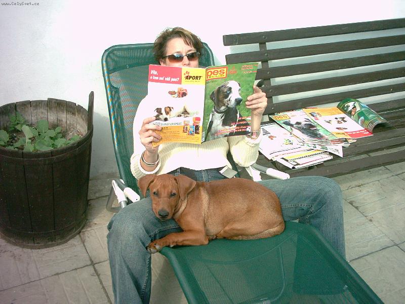 Foto: pohoda v t�mu