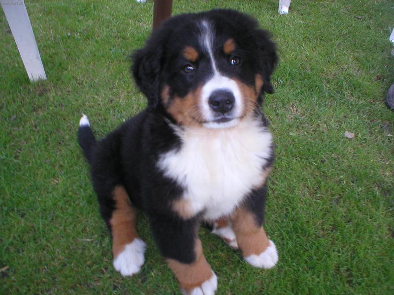 Foto: Jessie-moje �t���tko