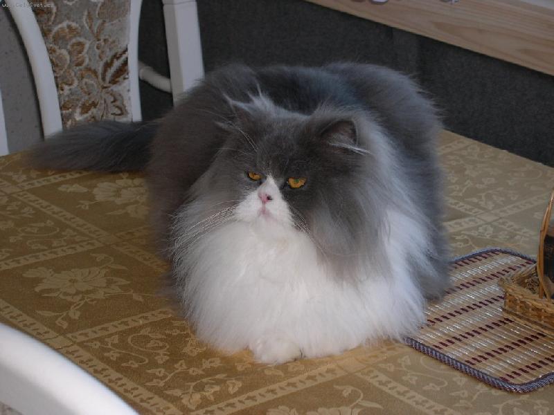 Foto: Mat�sek-Mat�sek Odpo��v�