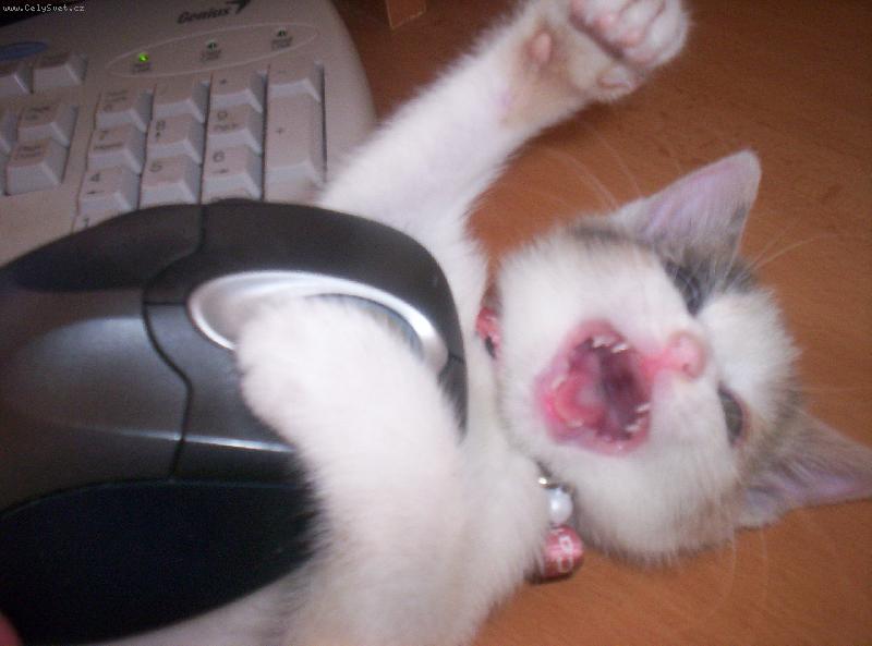 Foto: Tak jsem ji kone�n� chytla !!! To je m� prvn� my� !