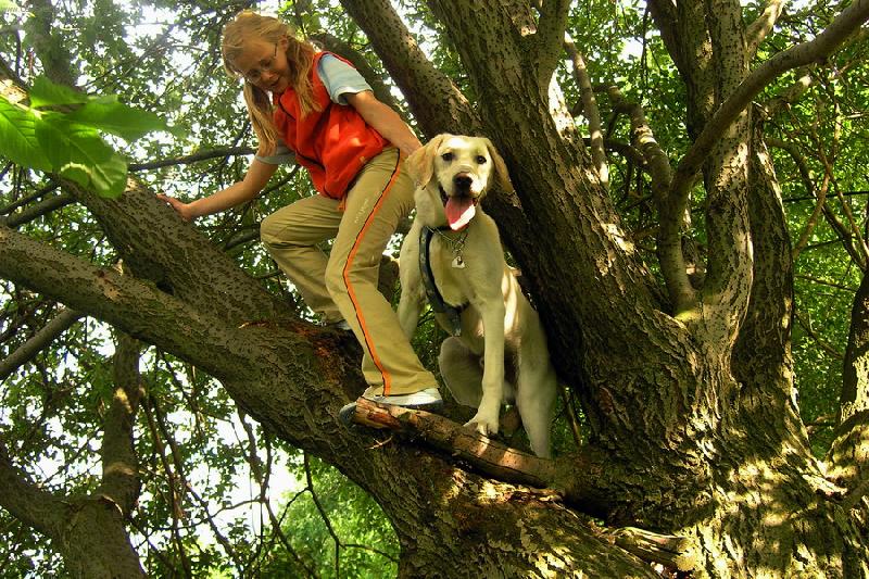Foto: Kdo se boj� v�c?-Ronn vylezl za svoj� kamar�dkou i na strom