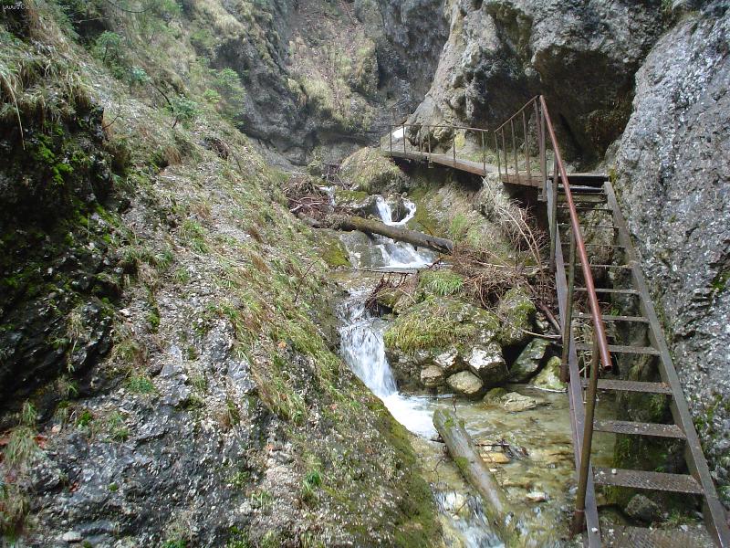 Foto: Mal� Fatra-Ov�em�e jsem na tom l�p,zbojn�ci tu schody nem�li...