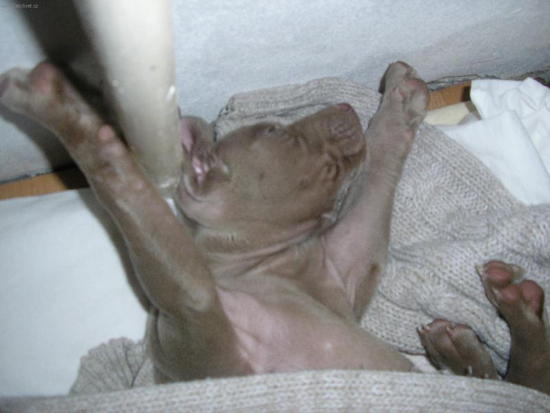 Foto: Relax-Le��c�,sp�c�