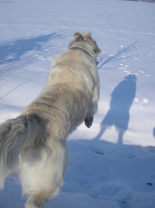 Foto: Hop-Srulovan� ou�ka, super rychlost a tmav� kamar�d p�edemnou :o)