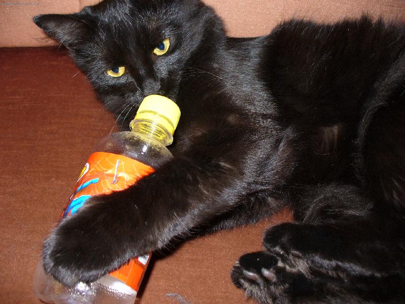 Foto: Mike�-Jak to jen ti lid� otv�raj� !!!