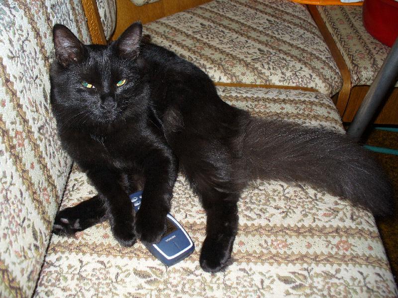 Foto: Mike�-Mohu si zavolat ???