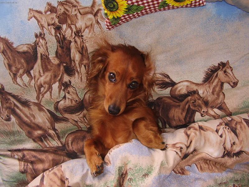 Foto: Alda-spokojen� Alda