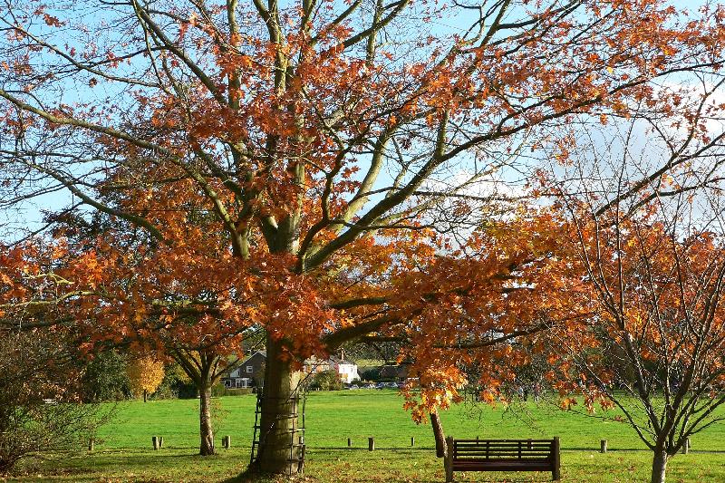 Foto: podzim-kouzeln� mal��