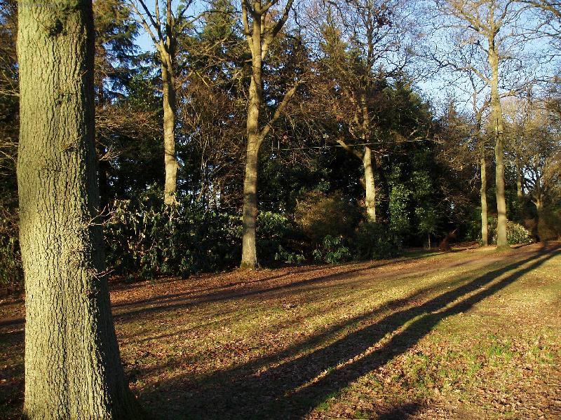 Foto: zase kon�� jeden den...