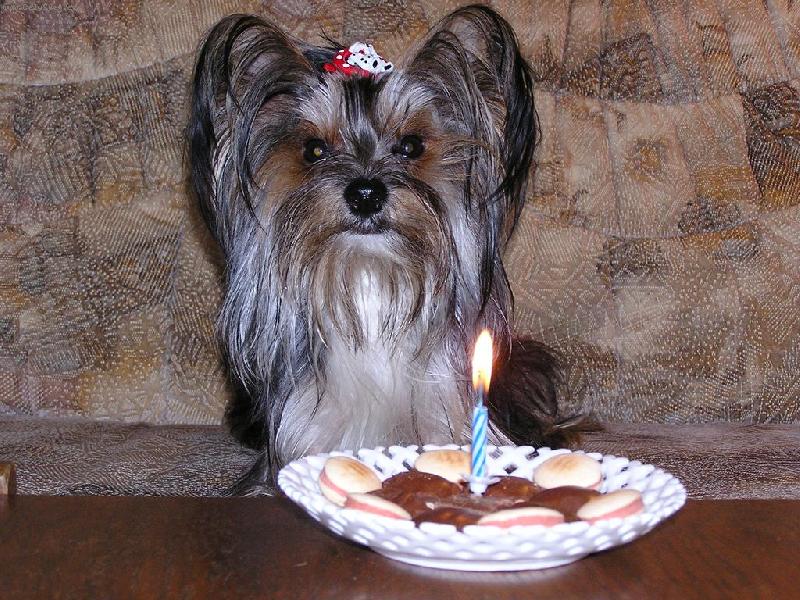 Foto: N� Jerry a jeho narozeniny