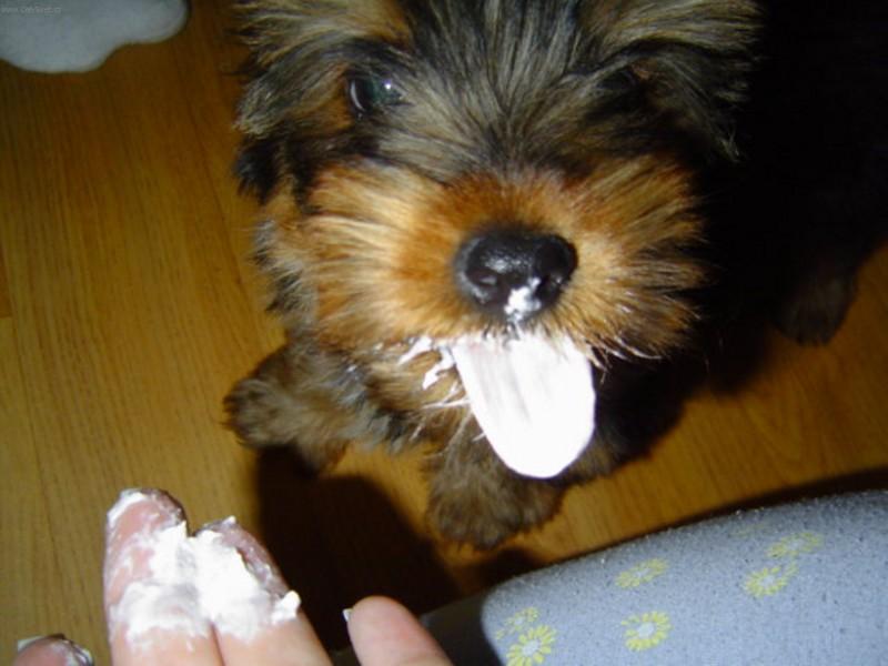 Foto: M�am!-M�am, to je ale v�born� tvaroh!!!