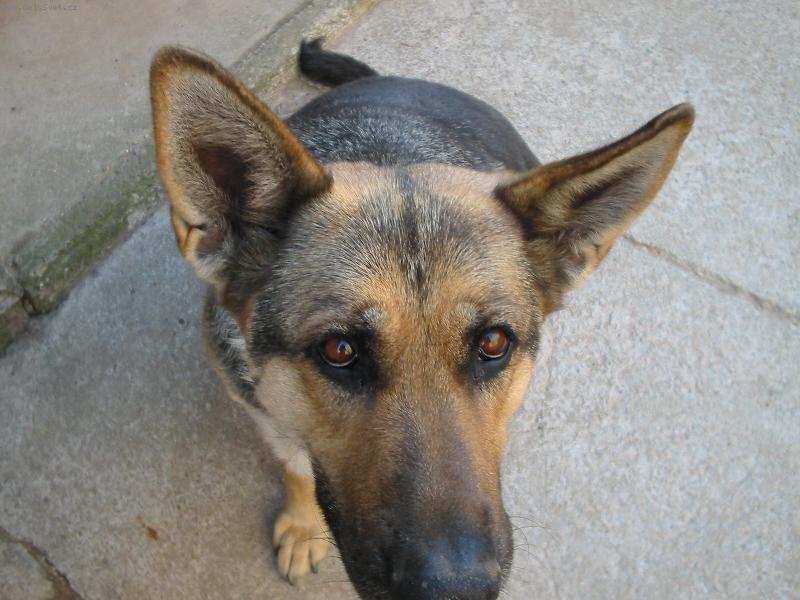 Foto: U�iska m�sto k�id�lek