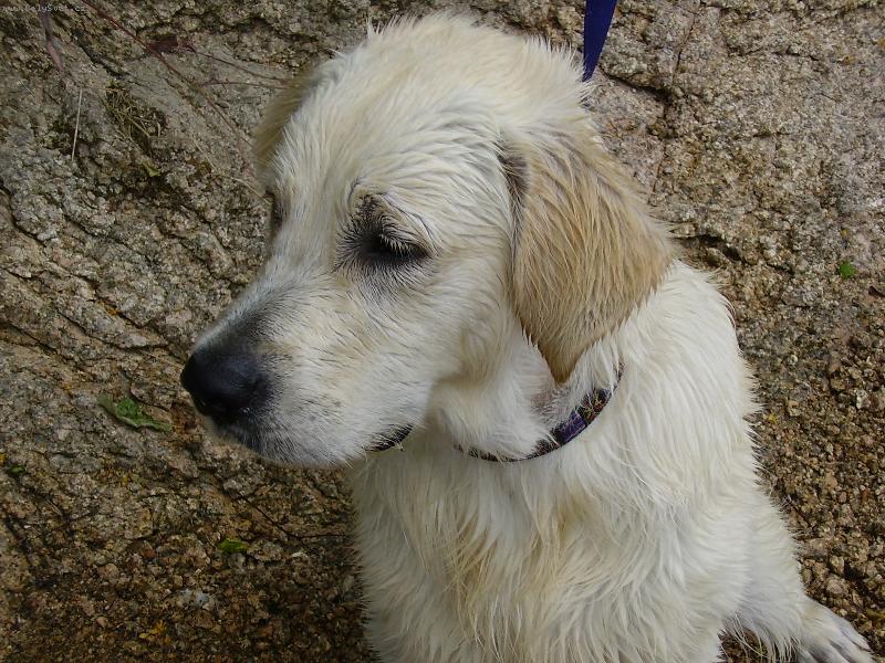 Foto: bude ze m� z�chran��-po koup�n� na p�ehrad� v Jablonci n.N.