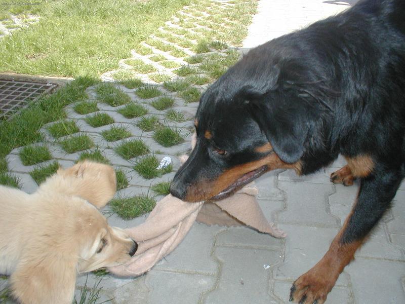 Foto: Sany + Megy-To je ale moje ��la....ne to je moje.......ne moje...