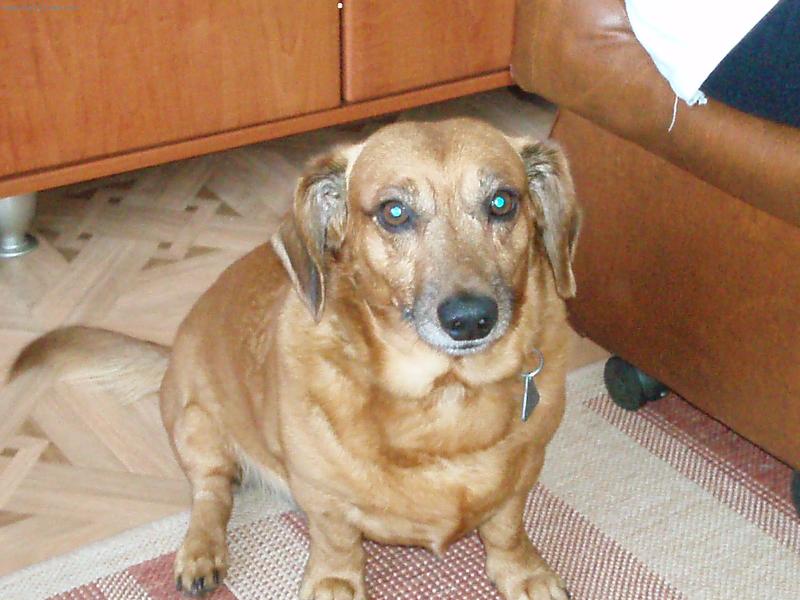 Foto: Model Filipek-asi neco provedl a tak se culi