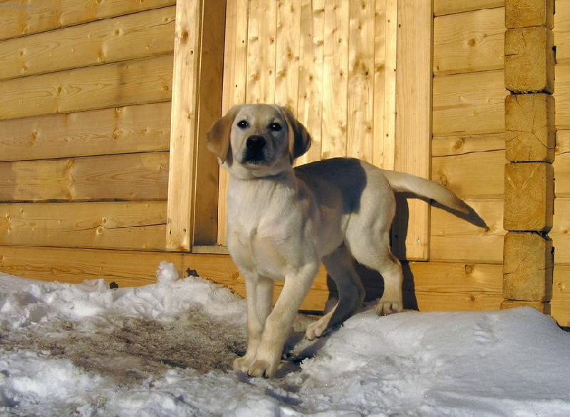 Foto: Chaloupka je zav�en�-Rann� proch�zka