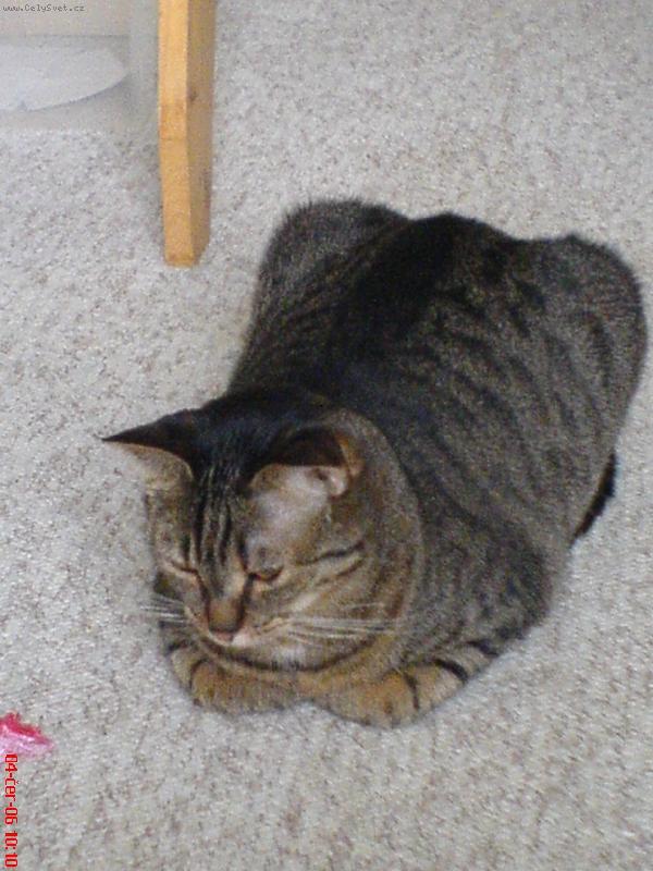 Foto: sexo�ka-krabi�ka