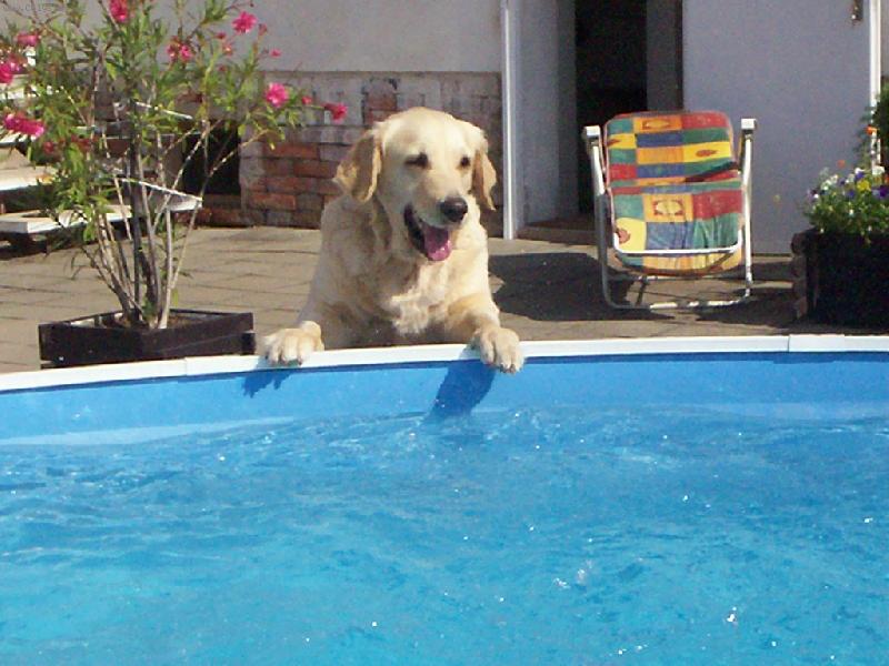 Foto: BESINA-Hur� do baz�nku