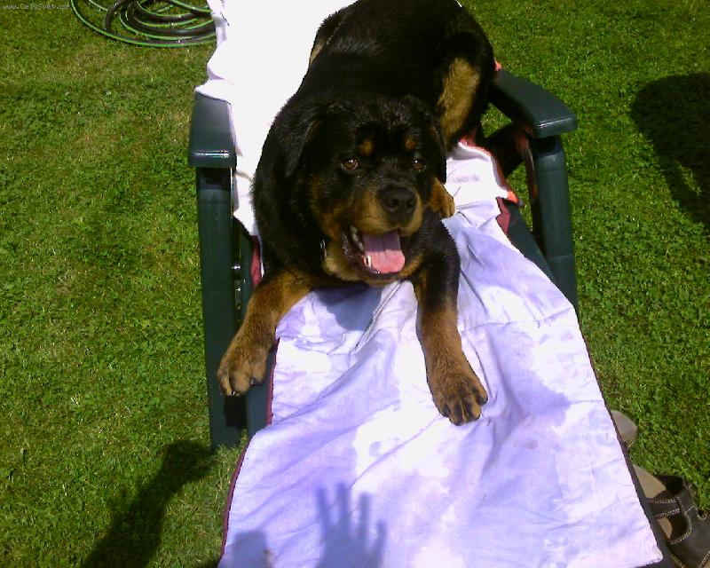 Foto: zkou�ka pevnosti :-)-na�e �t���tko na leh�tku...