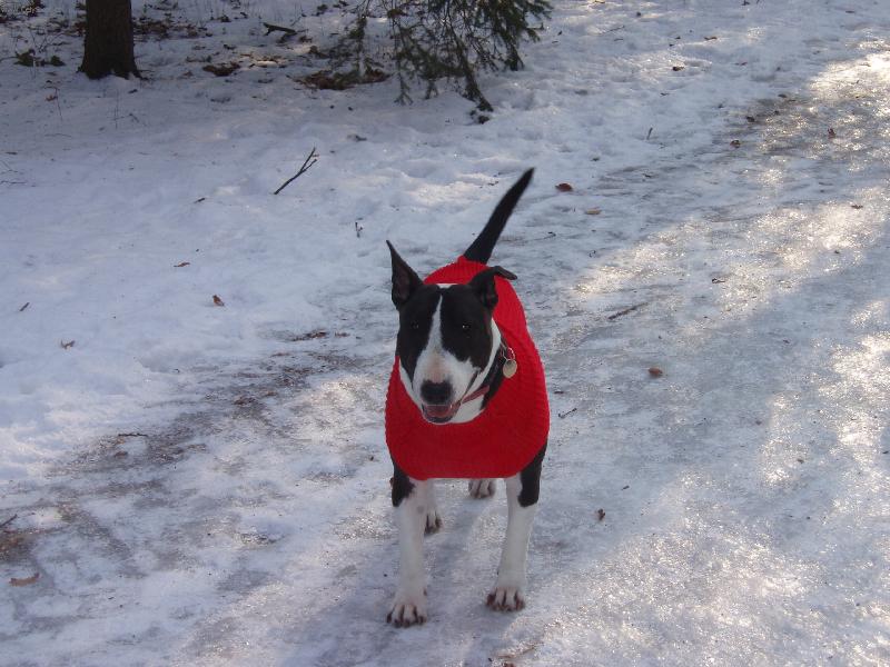 Foto: Je mi zima,tak m�m svetr