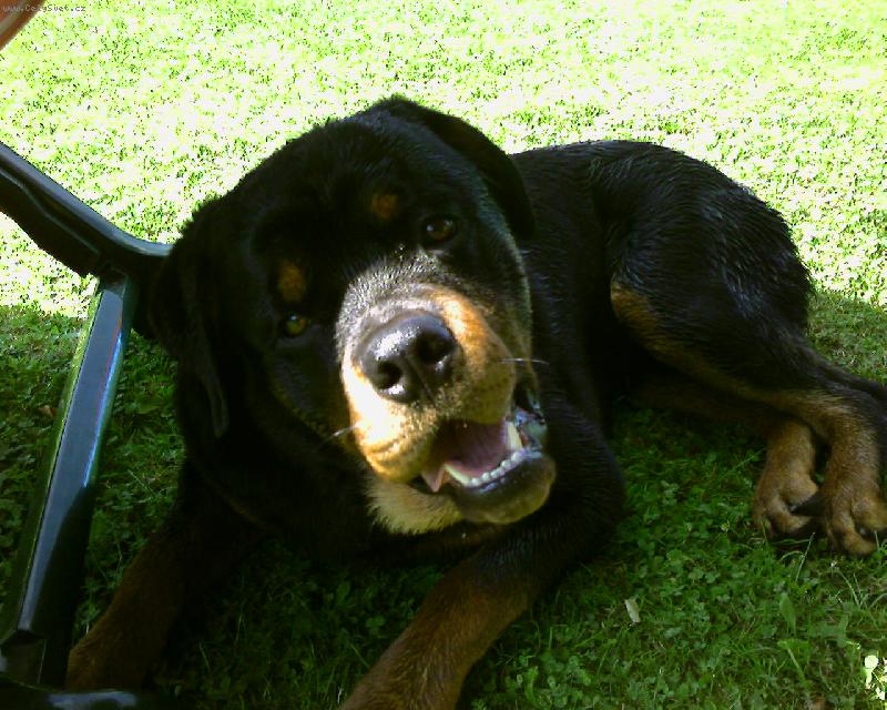 Foto: Argo se div�