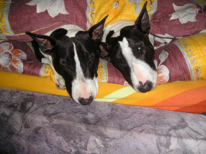 Foto: Velk� kamar�dky