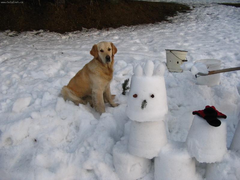 Foto: B�ra-Zimn� kamar�d!