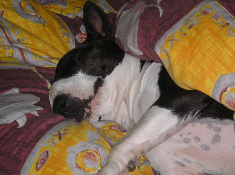 Foto: Odpo�inek po nam�hav� pr�ci