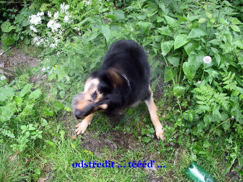 Foto: Odst�edit te�