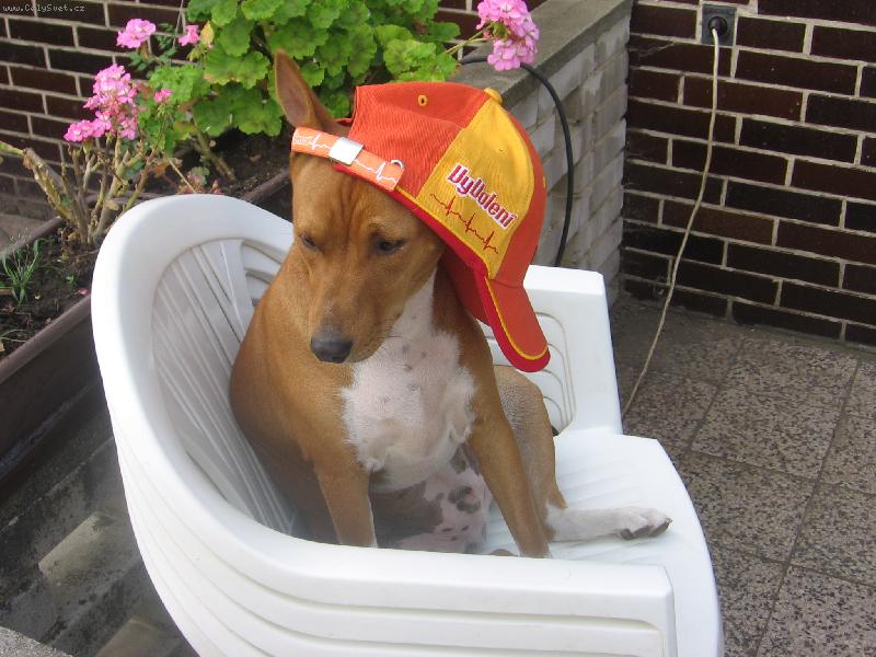 Foto: connerek miluje vyvolen�ch-�koda,�e ti vyvolen� skon�ili,m�m takovou ��asnou �epici.