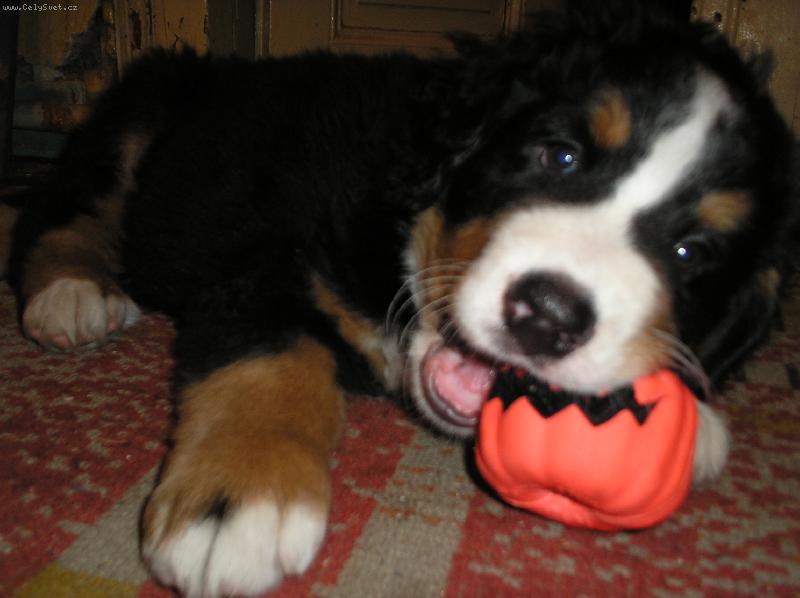 Foto: Aginka-Aginka a jej� prvn� hra�ka...