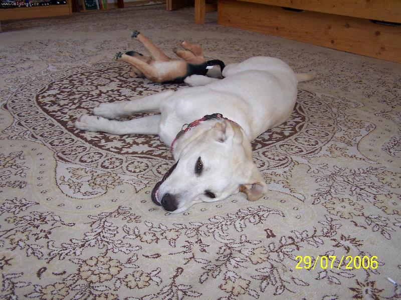 Foto: To vedro m� n�jak zmohlo!