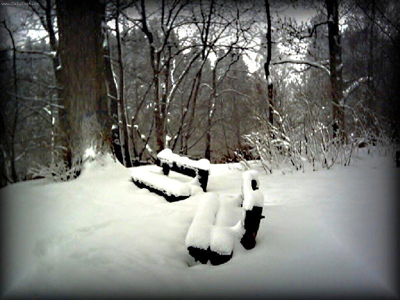 Foto: �EK�N� NA JARN� L�SKY