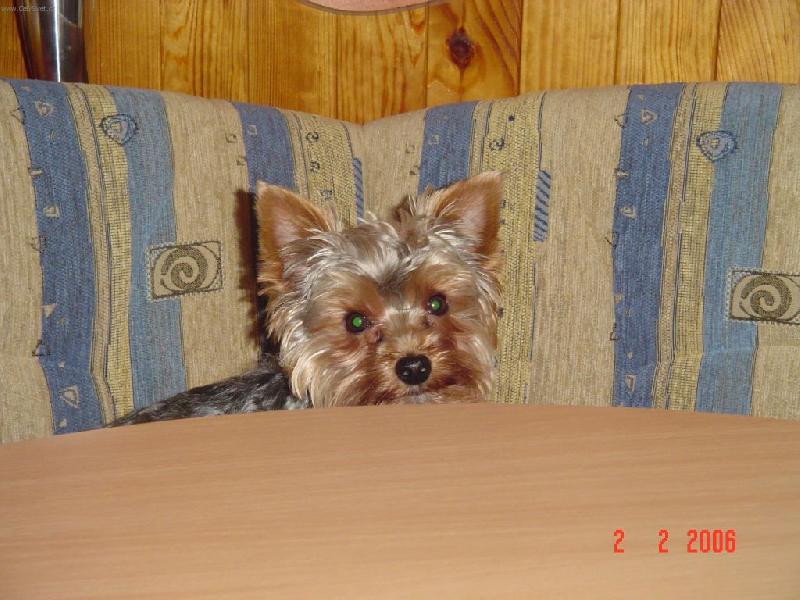 Foto: Bert�k-Pros�m n�co dobr�ho .