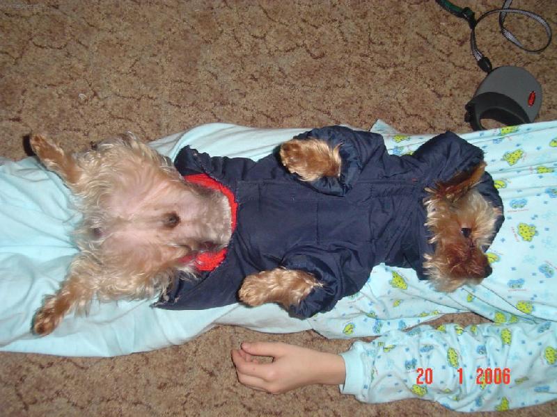 Foto: Bert�k-P��prava na vych�zku