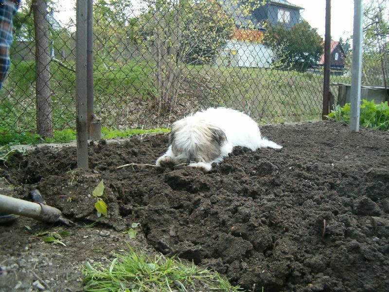 Foto: Mal� zahradn�k-To jsem �ikovn�, �e?