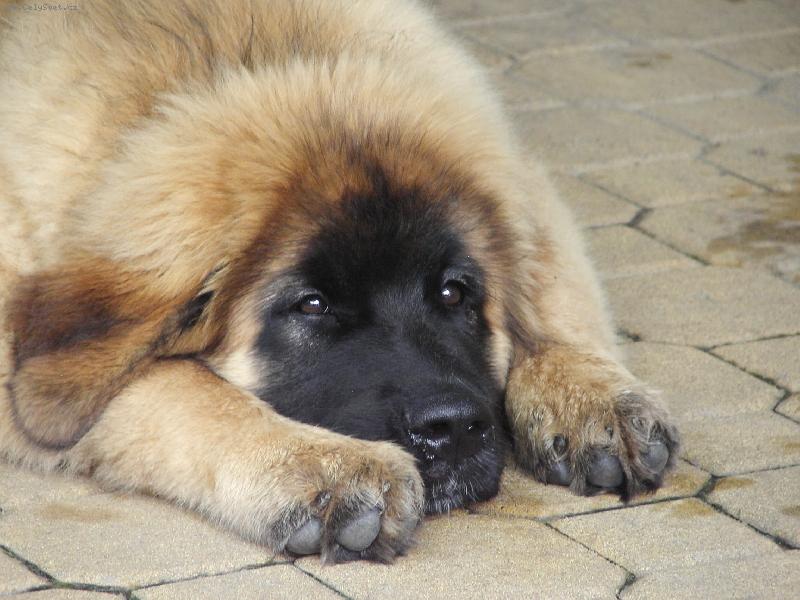 Foto: Angela sp�c�