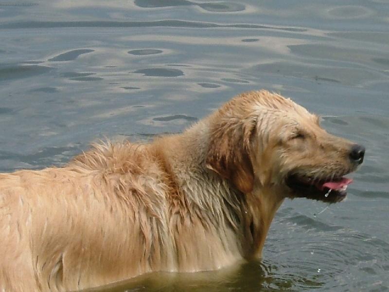 Foto: na�e Britu�ka-voda jako kafe