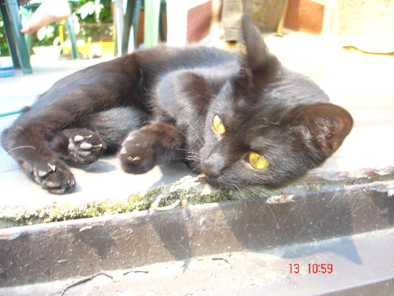 Foto: Mal�,ale �ikovn�-Cicka