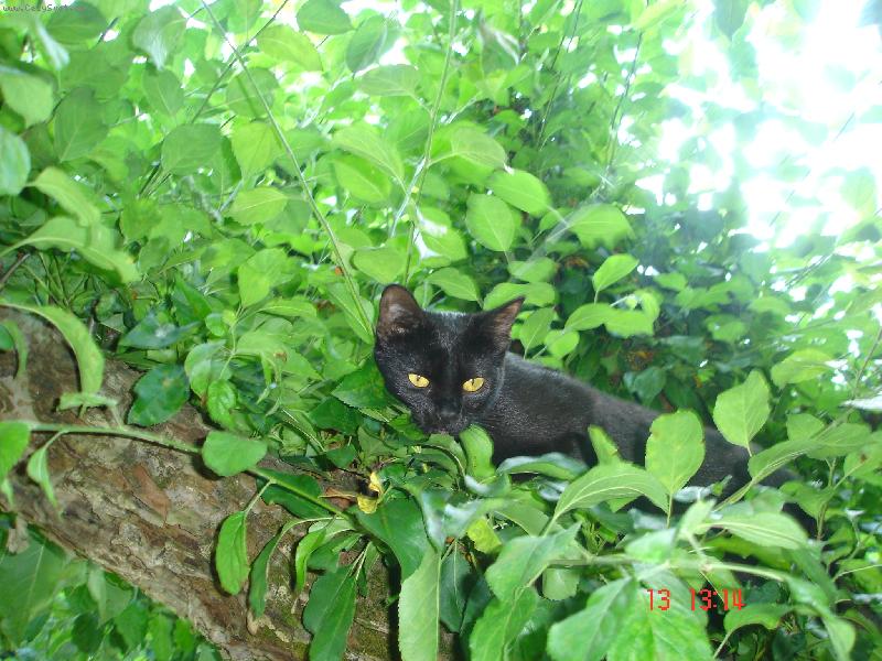 Foto: Poprv� na strom�-Cicka