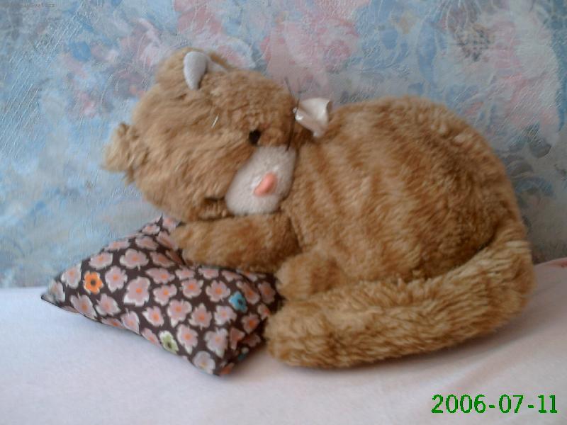 Foto: Sladk� sp�nek