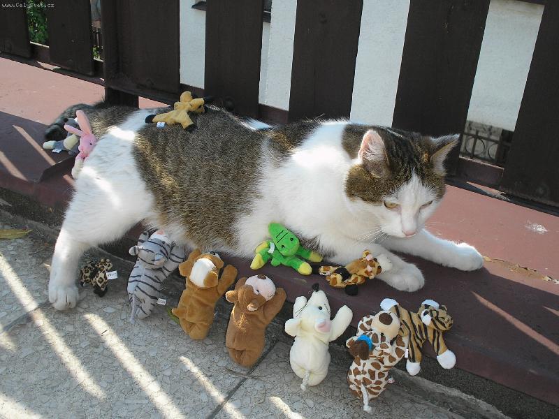 Foto: j� a m�j har�m-Miky a jeho ply��ci