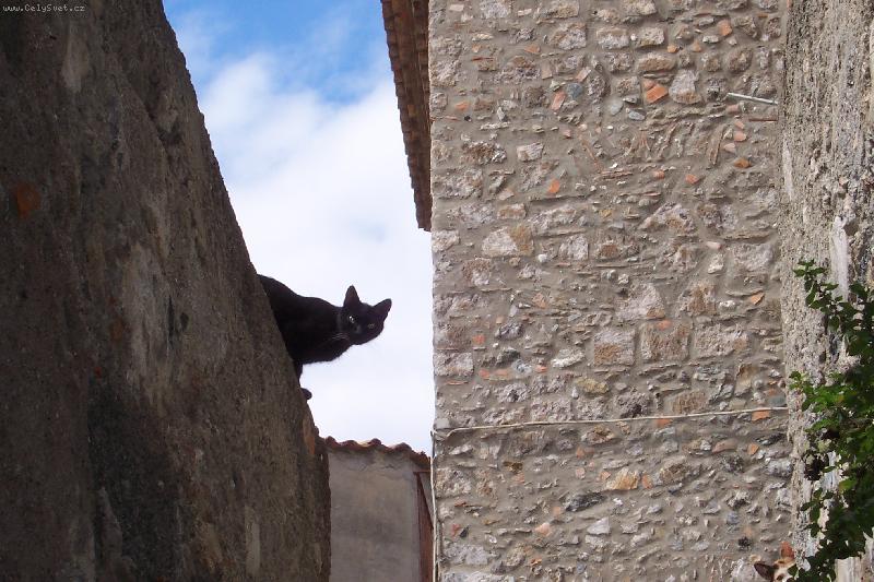 Foto: Jsem prost� zv�dav�