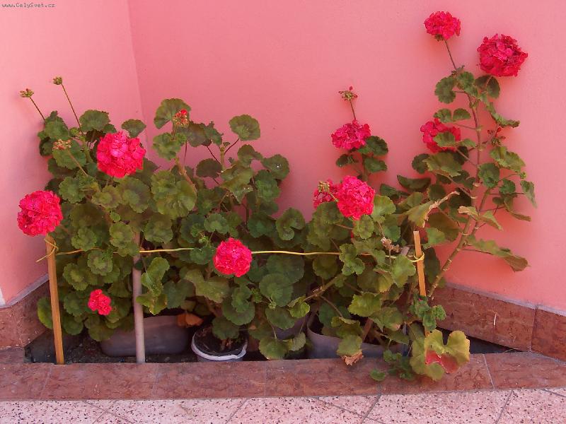 Foto: Na�e mu�k�ty