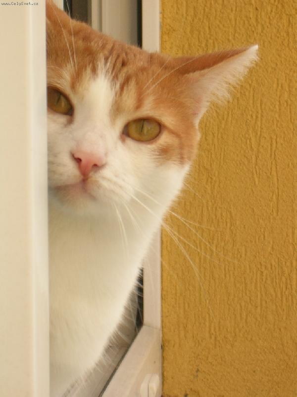 Foto: Kuk-Pohled z okna do okna