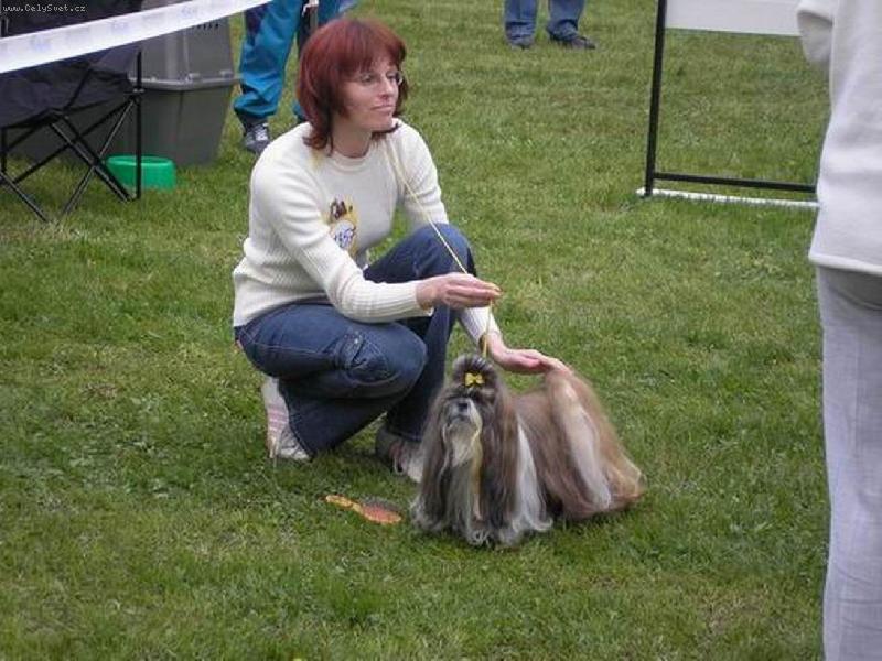 Foto: CH.Jeron Atrei-Na v�stave po pr�prave do kruhu