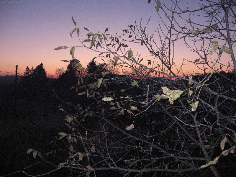 Foto: stm�v�n�