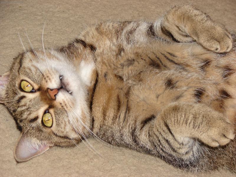 Foto: J� p�ece nekou�u