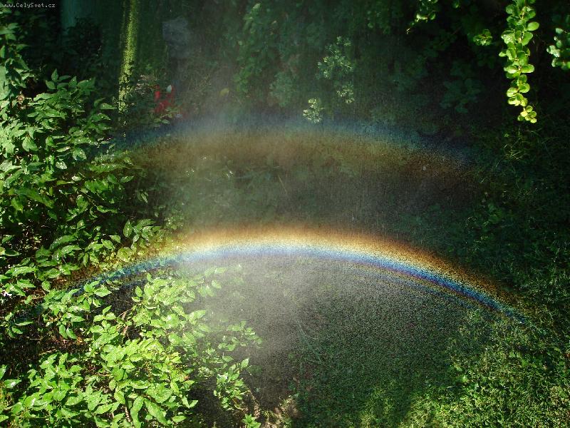 Foto: Duhy na zahr�dce